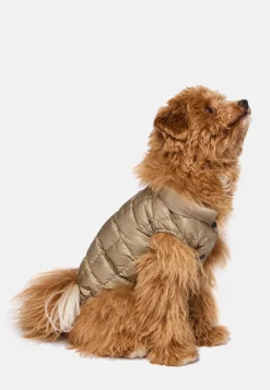 Boggi Milano Bomber Pour Chien En Tissu Technique En Plume D'Oie